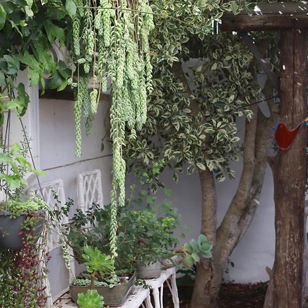 Gilcrest Place Guest House Paternoster Exterior foto